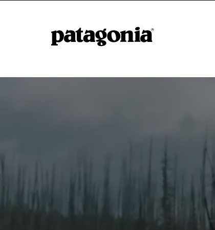 History of the Brand Patagonia