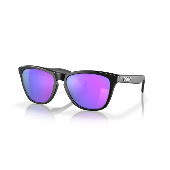 Oakley Frogskins Sunglasses - Men's