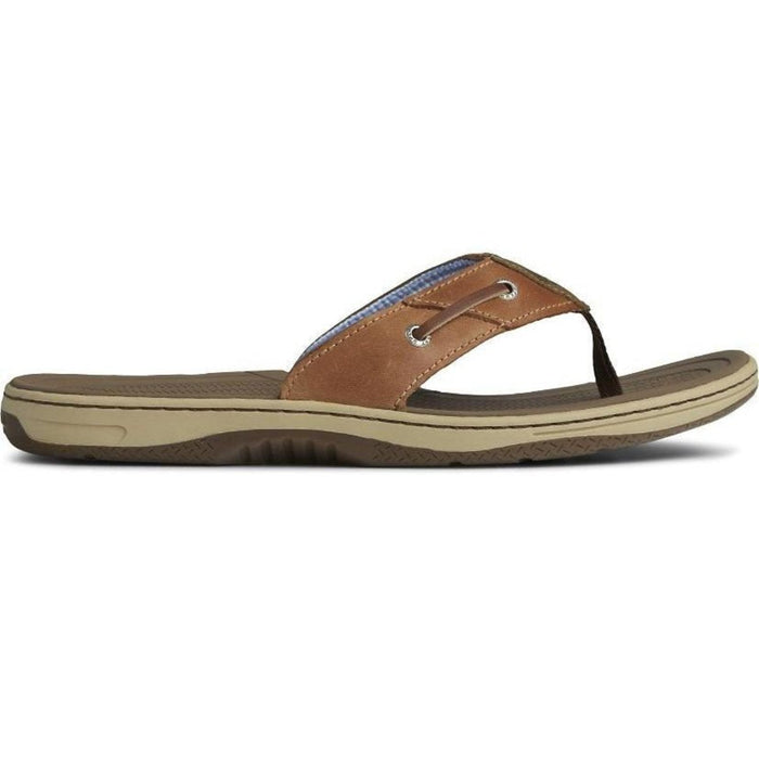 Sperry Baitfish Flip Flop – Men's