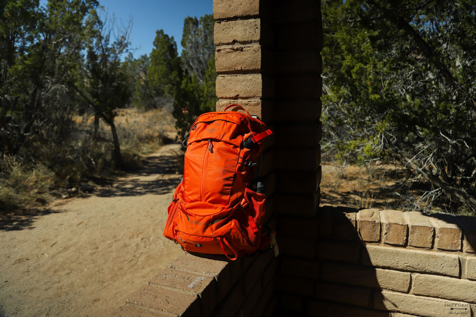 Two Basic Camping Tips For The Whole Family
