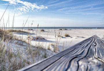 Gulf Coast Beaches You Shouldn’t Miss Out On