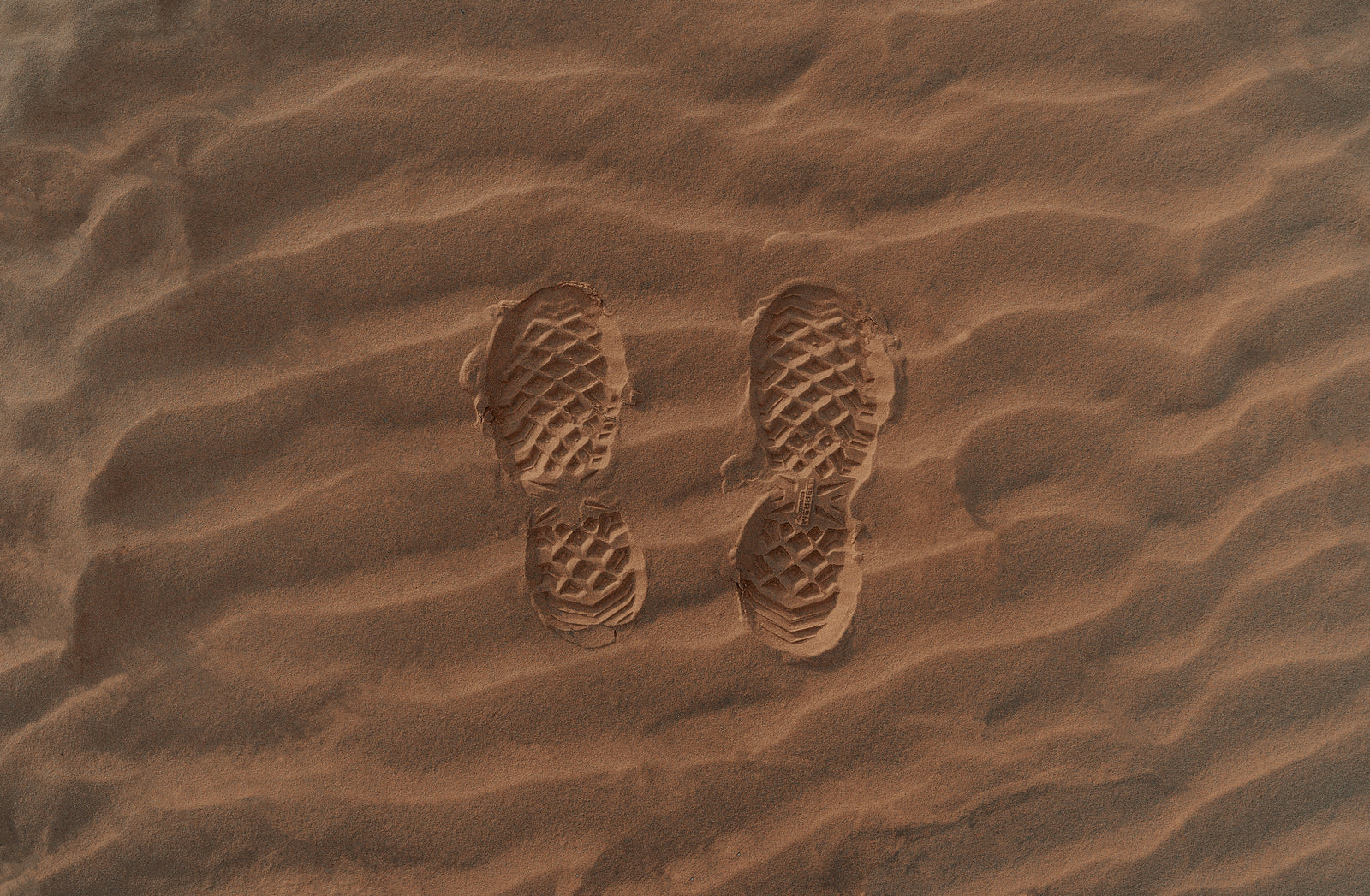 Trail Running Shoes VS Road Running Shoes