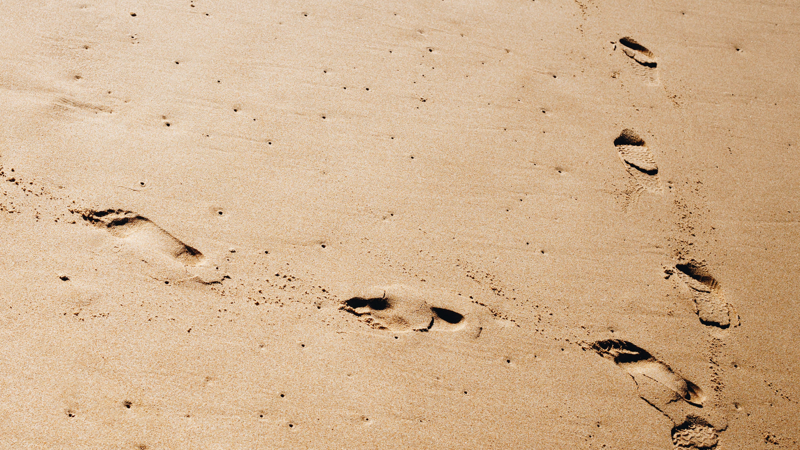 Understanding the Anatomy of Your Feet: Do You Have High Arches, Flat Feet, or Something in Between?