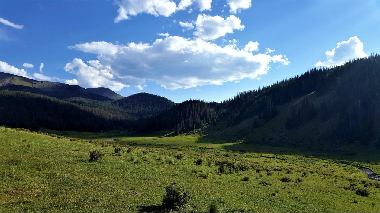 HEARTBEAT OF THE WILD