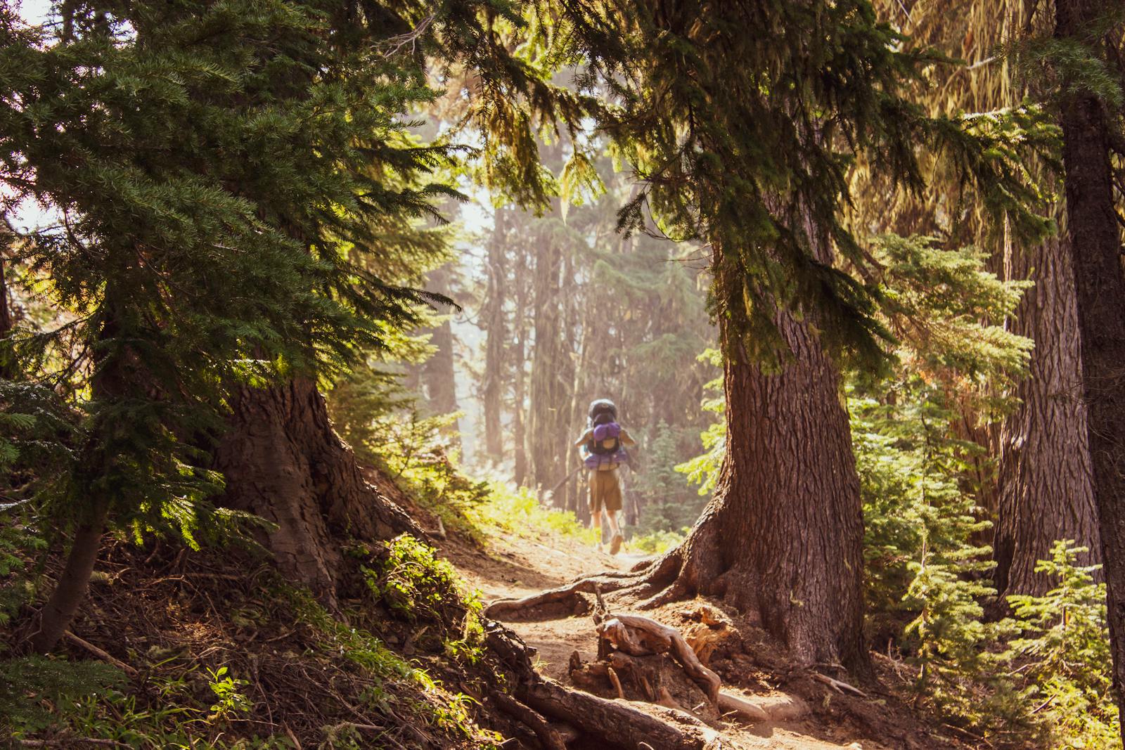 How to pick your first trail running shoe