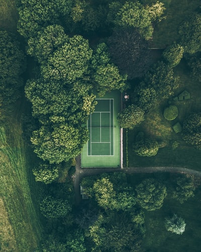 Roger Federer