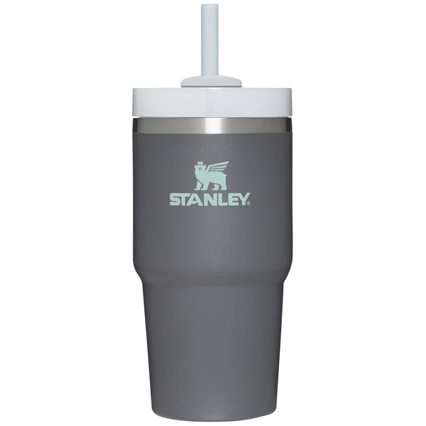 Stanley Quencher H2.0 FlowState Tumbler 20 OZ