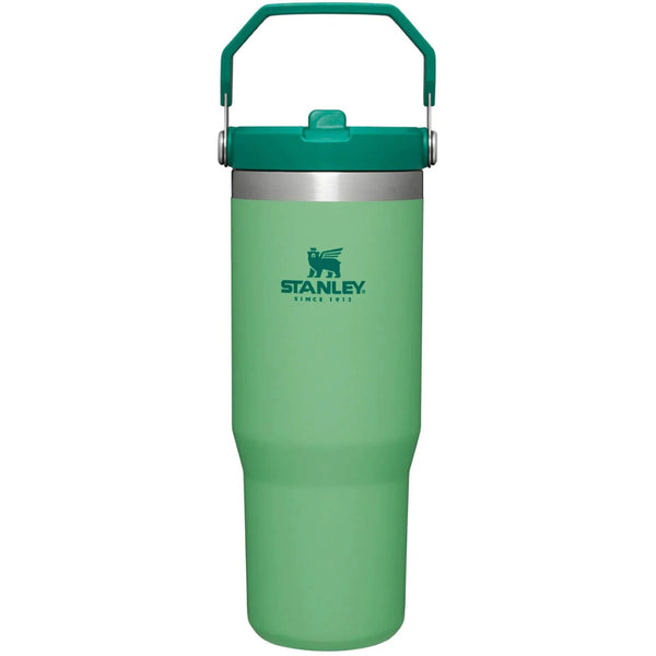 Stanley IceFlow Flip Straw Tumbler 30 OZ
