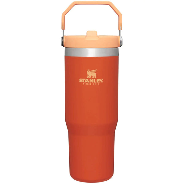 Stanley IceFlow Flip Straw Tumbler 30 OZ