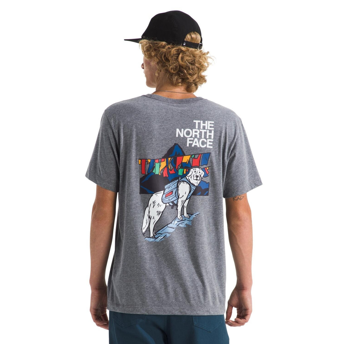 The North Face Men's Sunlit Summit Regular Short Sleeve Tee