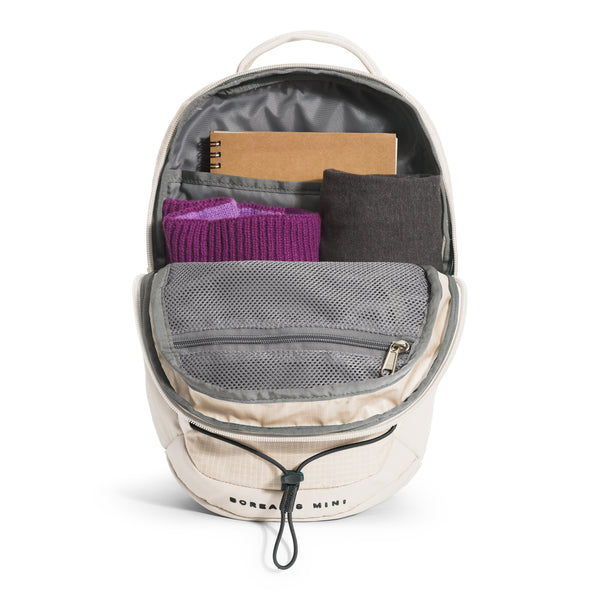 The North Face Borealis Mini Backpack