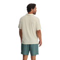 Dash Stripe Birch