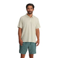 Dash Stripe Birch