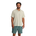 Dash Stripe Birch