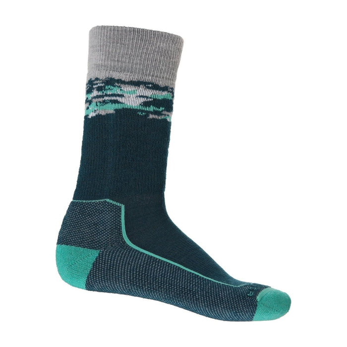 Icebreaker Hike+ Medium Cushion Crew Hiking Sock – Men's