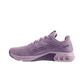 Light Purple/Purple