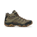 Olive/Gum