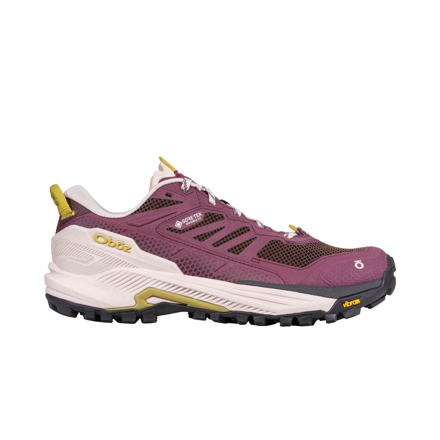 Oboz Katabatic RT Low GTX Hiking Shoe – Women's