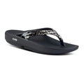 Champagne Pop