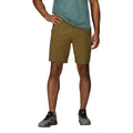 Coyote
