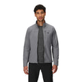 Wolf Grey