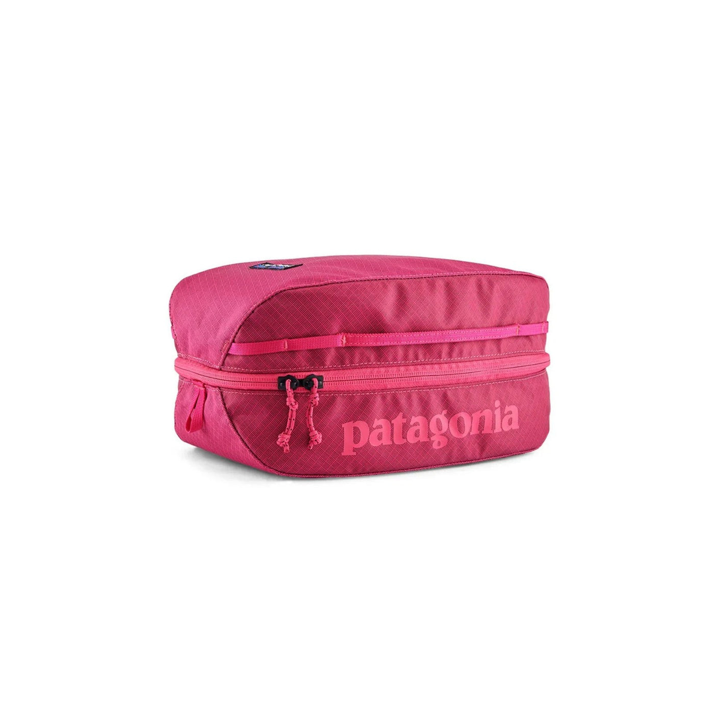 Patagonia Black Hole Cube Packing Organizer 6L