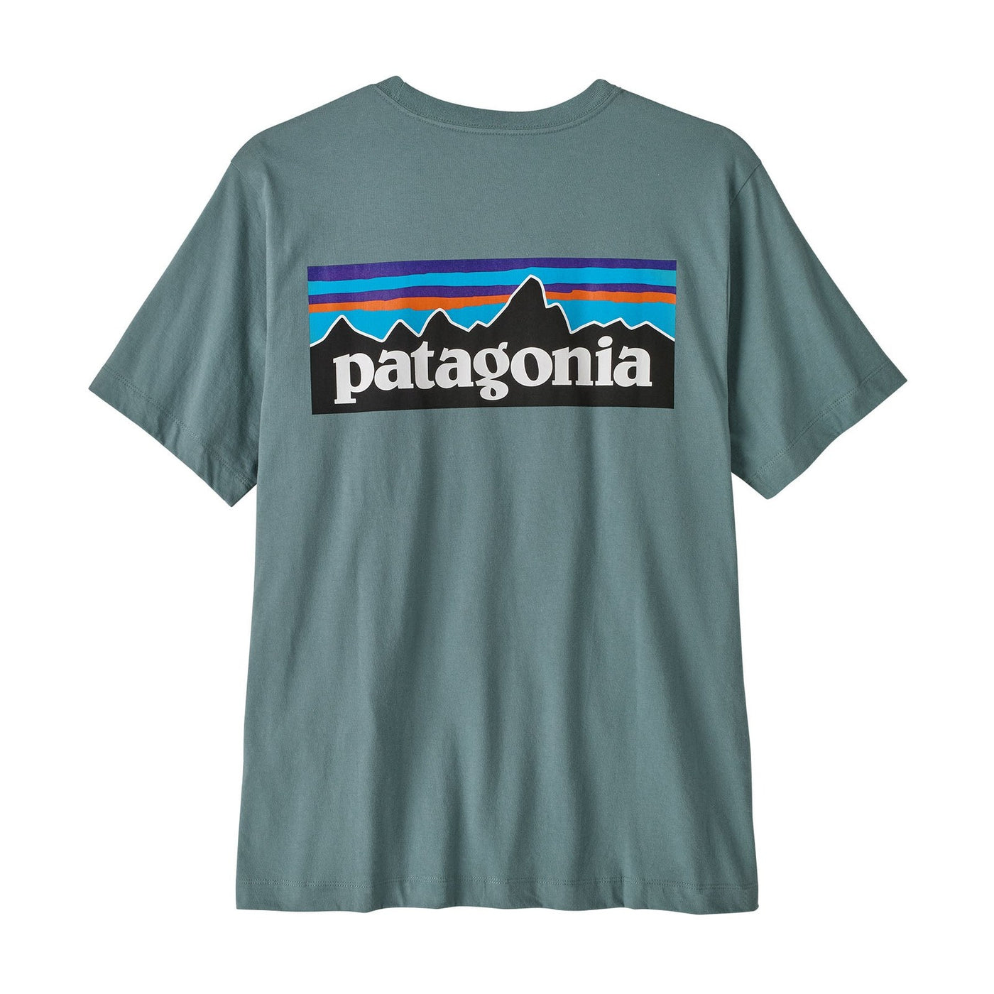Patagonia P-6 Logo Organic T-Shirt – Men's