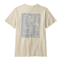 Birch White