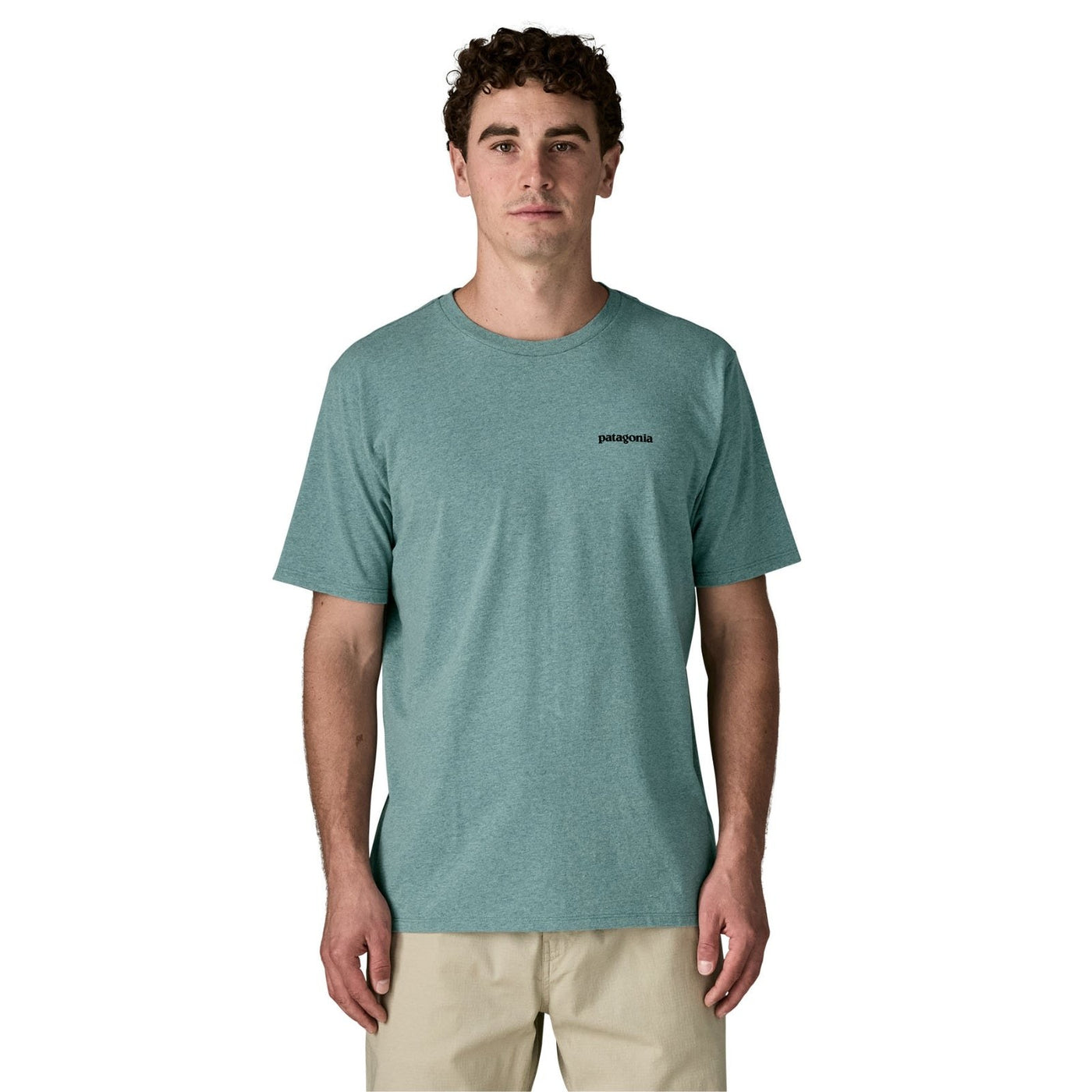 Patagonia Take a Stand Responsibili-Tee – Men's