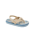 Blue/Tan Palm