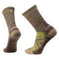 Military Olive Fossil