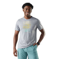 Light Gray Heather