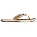 Stripes Tan Multi