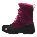Boysenberry/TNF Black
