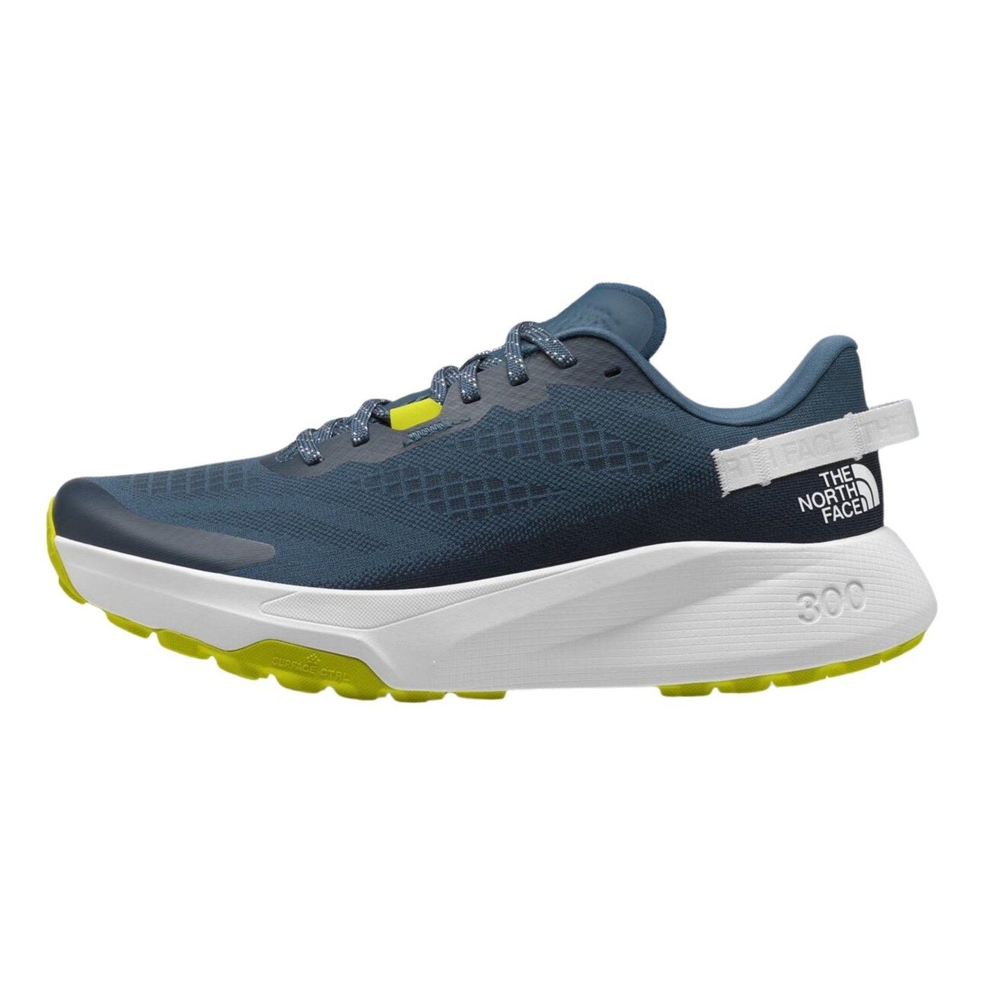 The North Face Altamesa 300 Running Shoe – Men's