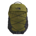 Forest Olive/TNF Black