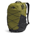 Forest Olive/TNF Black NPF