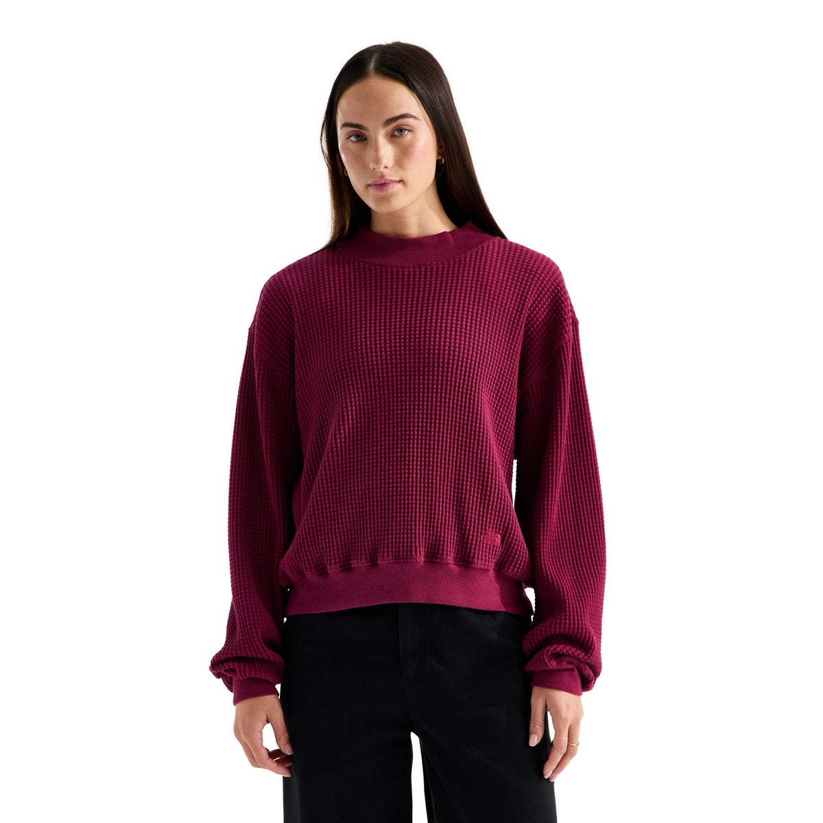The North Face Chabot 2.0 Mock-Neck Midlayer – Women's