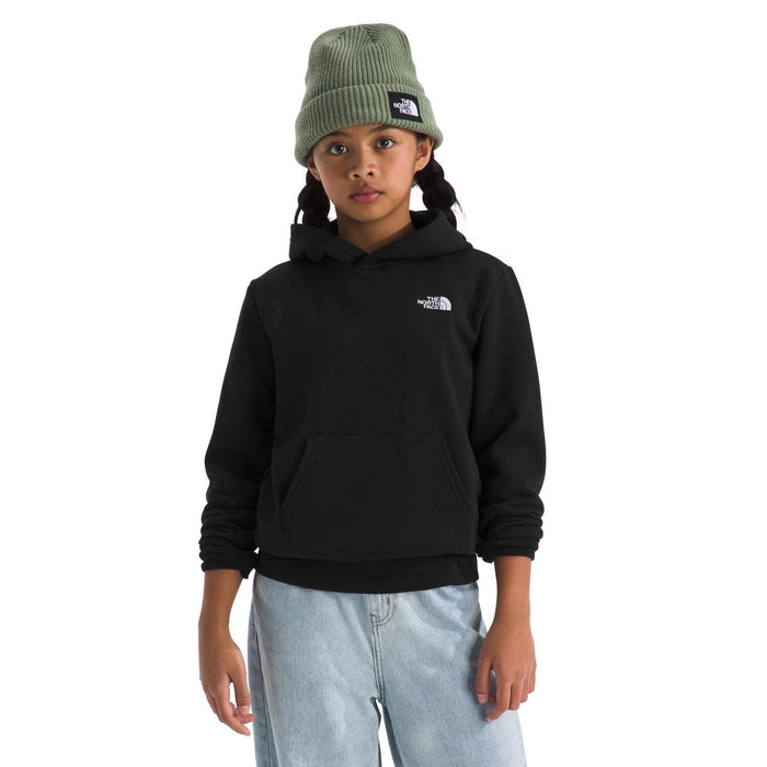 The North Face Evolution EMB Pullover Hoodie – Kids'