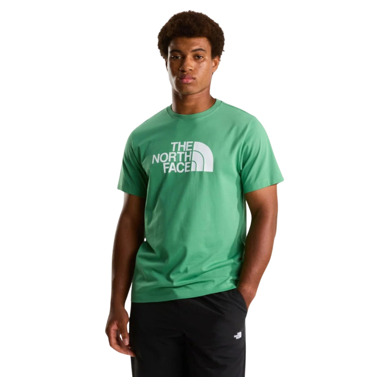 The North Face Evolution Half Dome Short-Sleeve Tee – Men's