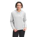 TNF Light Grey Heather/TNF White Logo