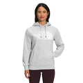 TNF Light Grey Heather/TNF White