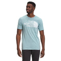 Tourmaline Blue Heather