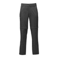 Asphalt Grey