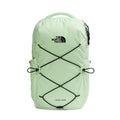 Calcified Lime/TNF Black