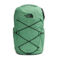 Dimmed Algae/TNF Black