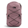 Fawn Grey/TNF Black
