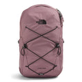 Fawn Grey/TNF Black