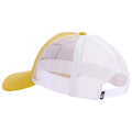 Pigment Yellow