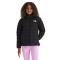 TNF Black/Smoked Pearl